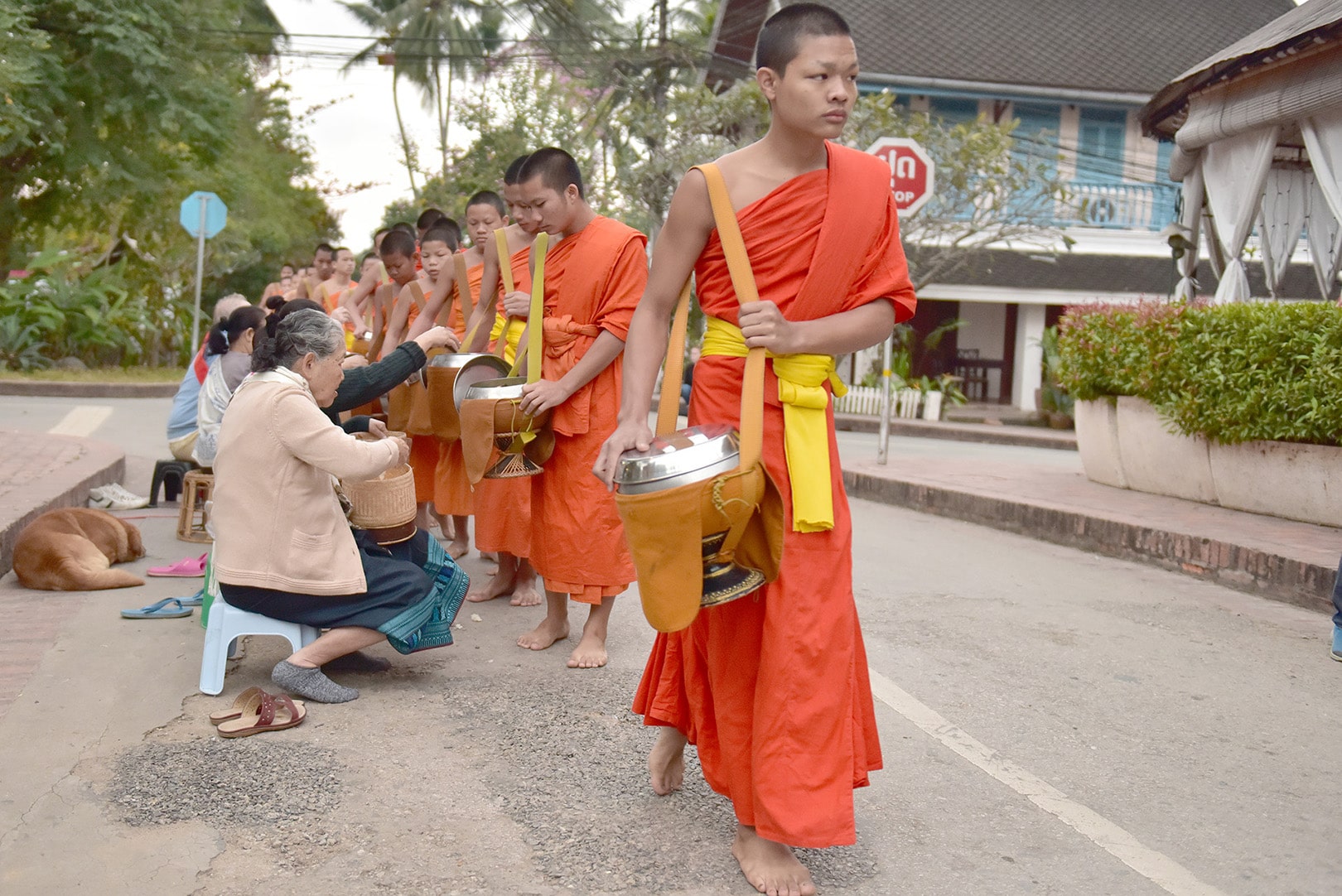 Alberto Barbera - La cerimonia della questua a Luang Prabang