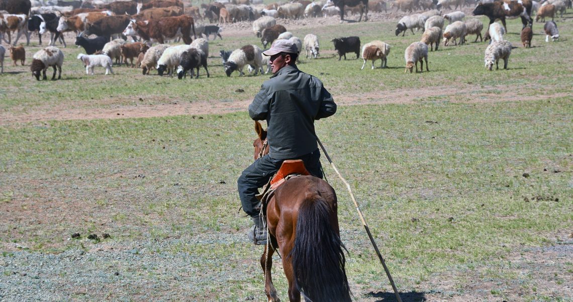 Alberto-Barbera-Nella steppa-Mongolia